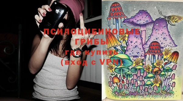 шишки Липки